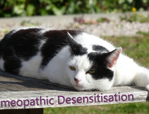 Homeopathic Desensitisation